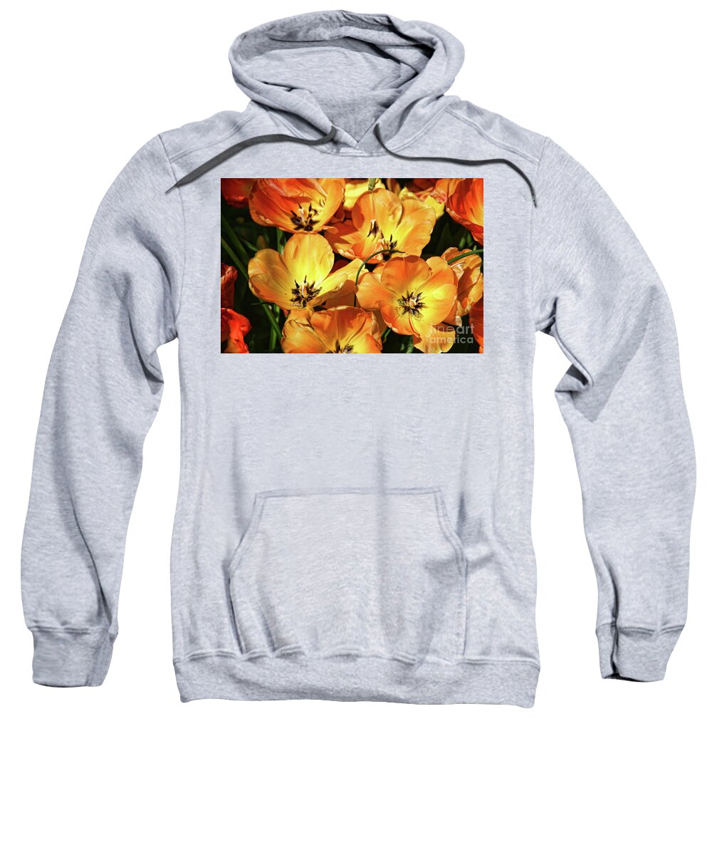 Tulips Sweatshirt featuring the photograph Tulip Explosion by Joan Bertucci
