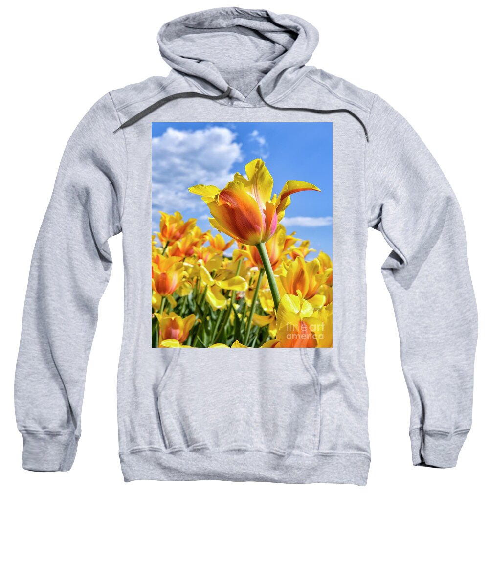 Top Artist Sweatshirt featuring the photograph Tulips Orange and Yellow by Norman Gabitzsch