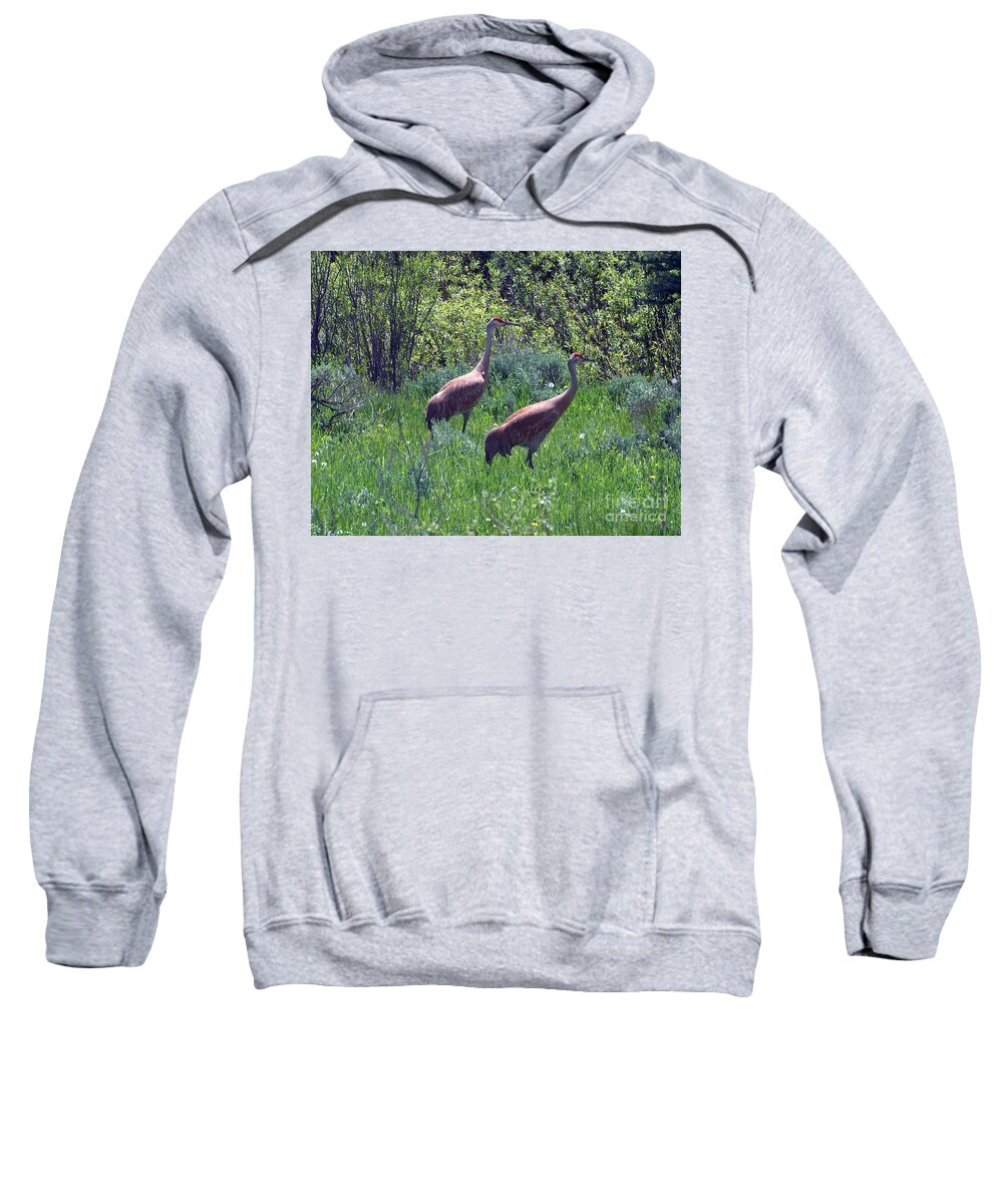 Sandhill Crane Sweatshirt featuring the photograph Two of a Kind by Dorrene BrownButterfield