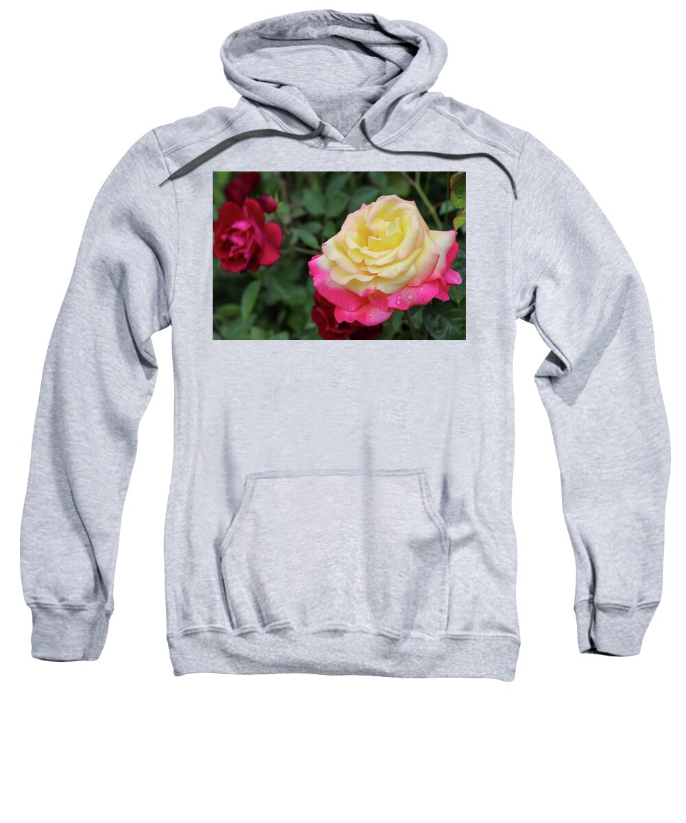 Rose Sweatshirt featuring the photograph Two Tone Beauty by Mary Anne Delgado