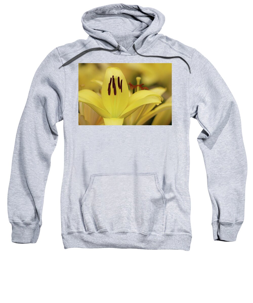 Day Lily Sweatshirt featuring the photograph Upstanding Elegance by Mary Anne Delgado