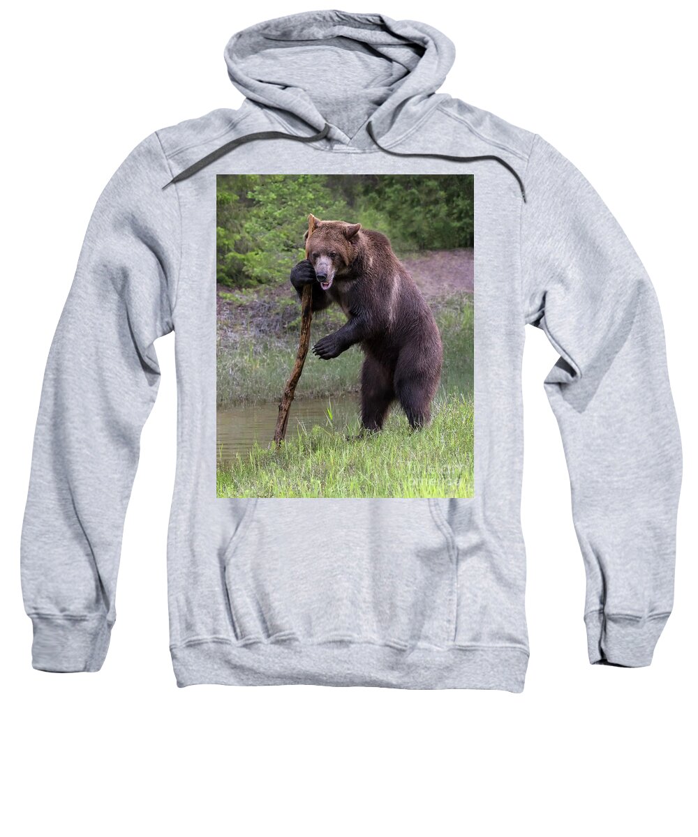 Bear Sweatshirt featuring the photograph Use the Force by Art Cole