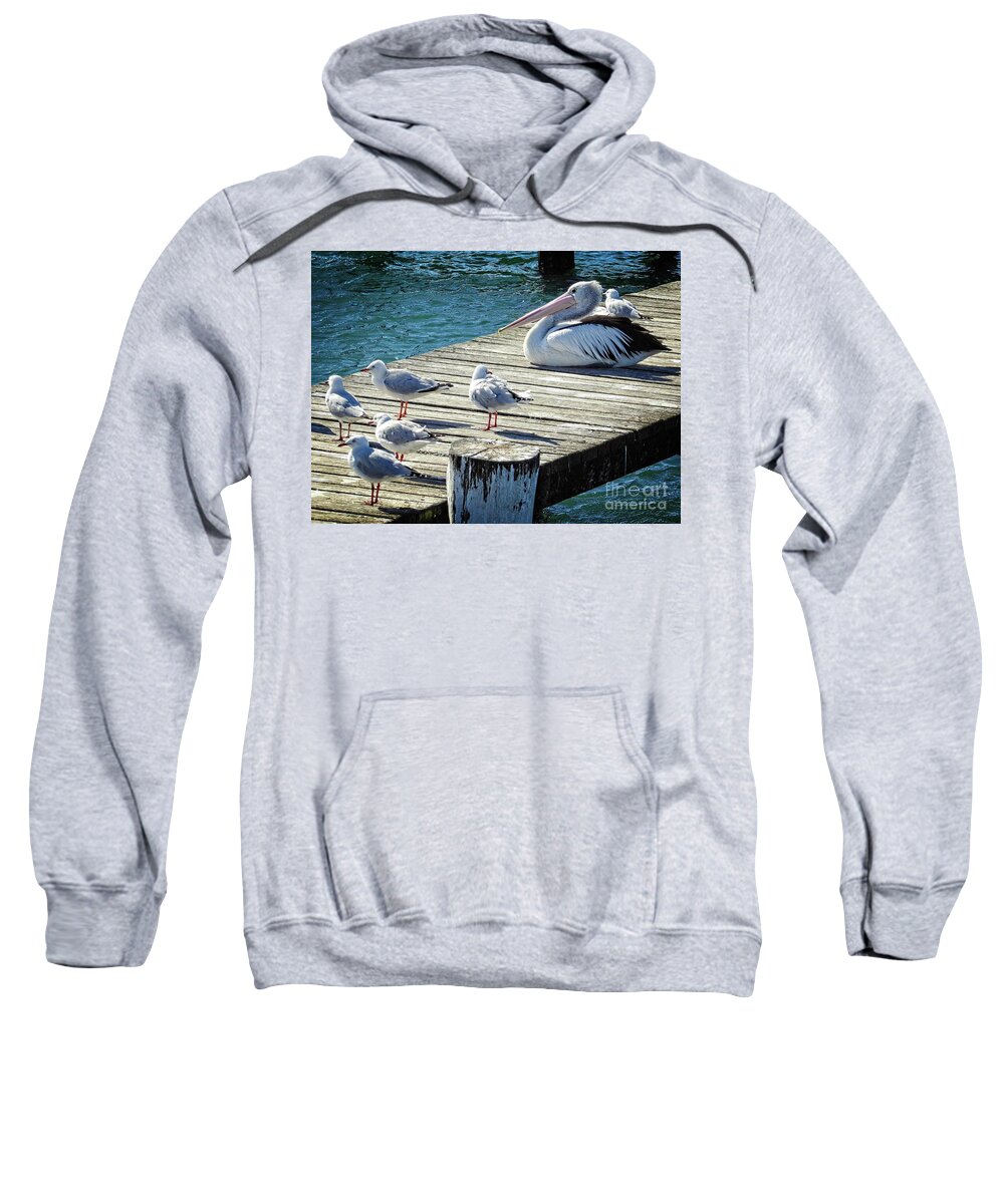 Seagull Sweatshirt featuring the photograph Waiting for a Feed by Fran Woods