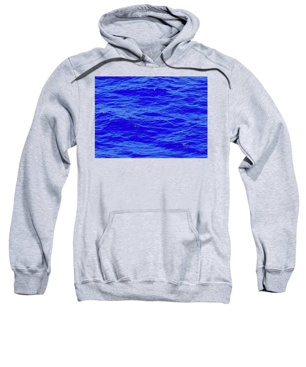 When Fish Fly Sweatshirt featuring the photograph When Fish Fly by Debra Grace Addison