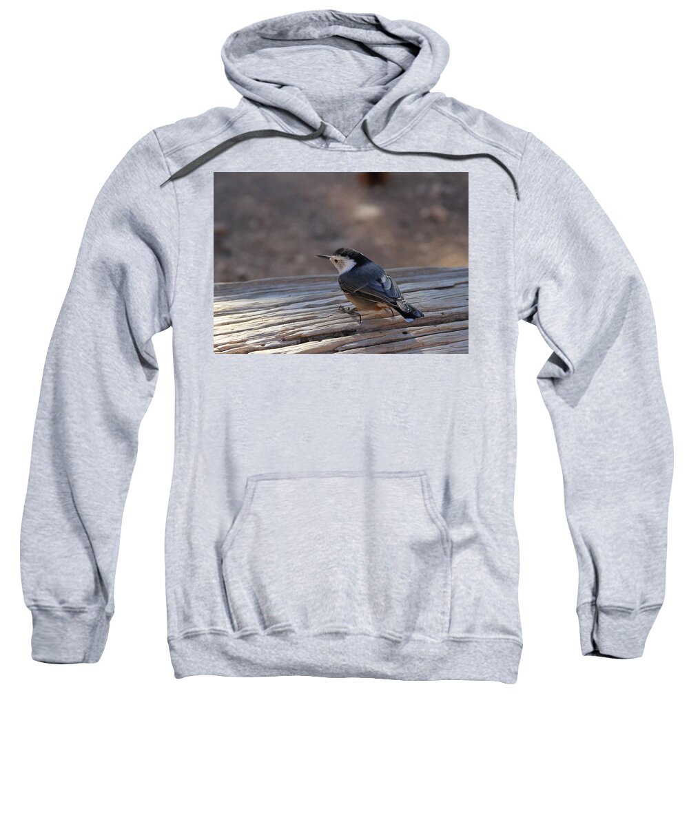 Bryce Canyon National Park Sweatshirt featuring the photograph White Breasted Nuthatch by Ed Riche