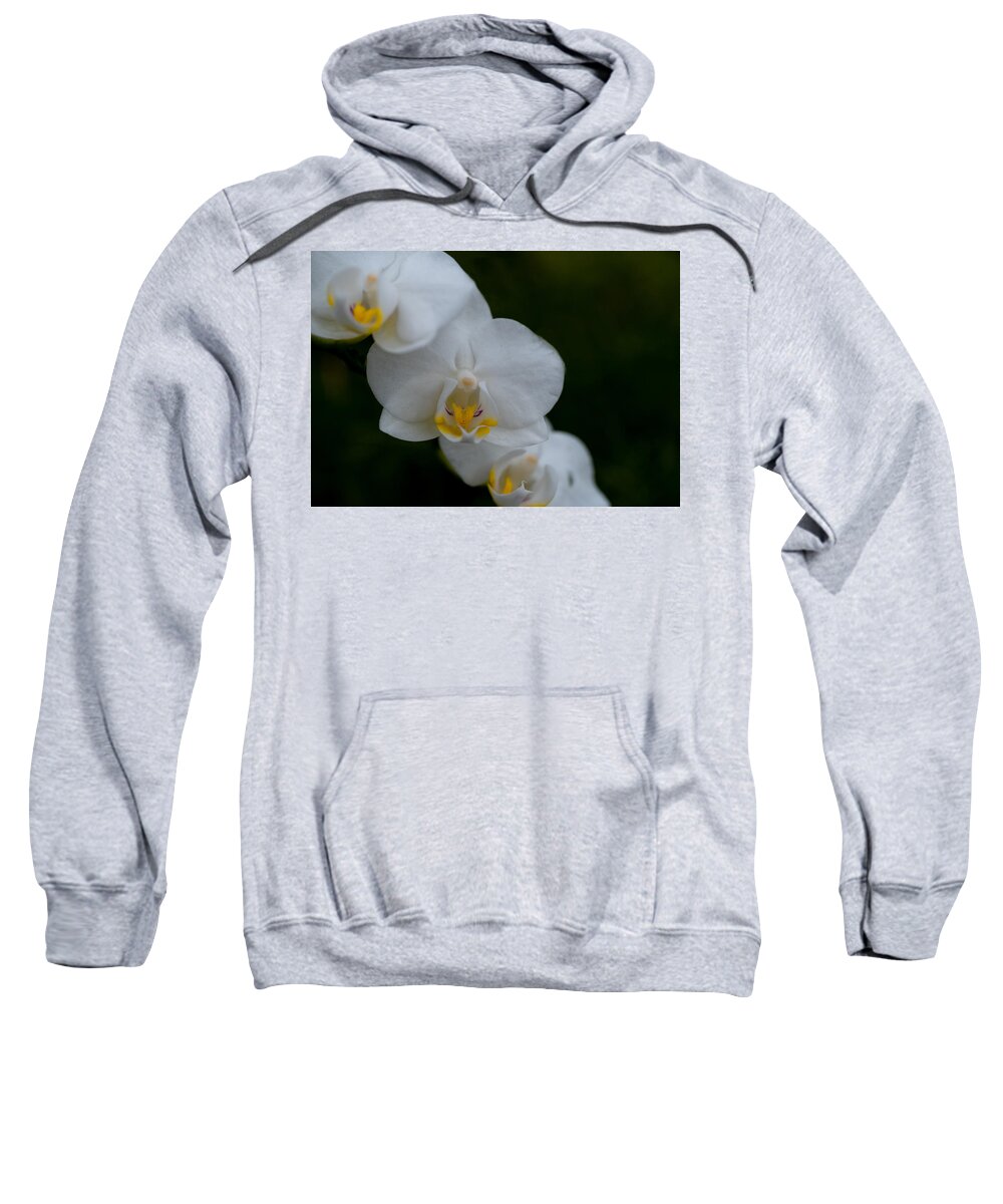 Tropical Sweatshirt featuring the photograph White Orchid by Roberta Kayne