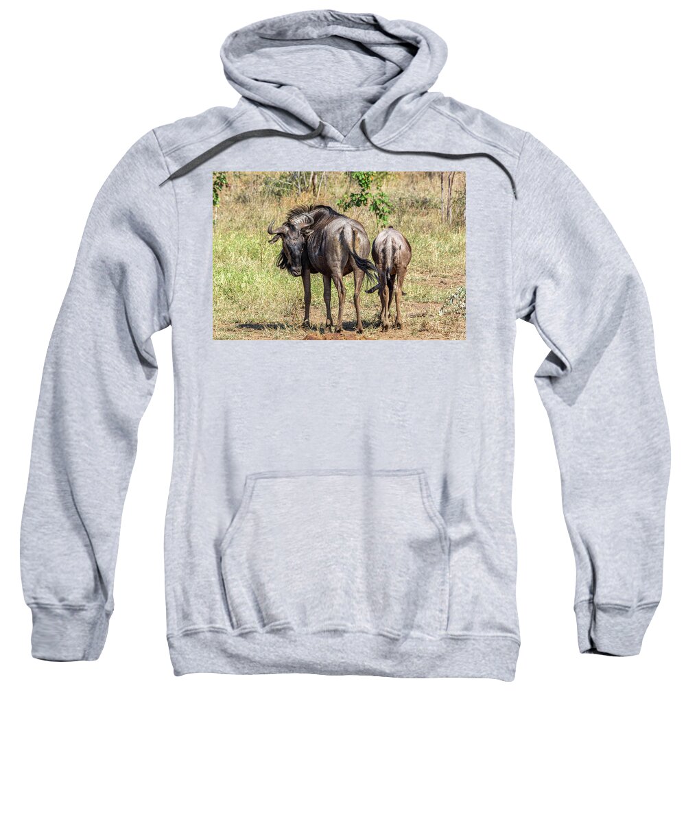 Wildebeest Sweatshirt featuring the photograph Wildebeest Wandering by Douglas Wielfaert