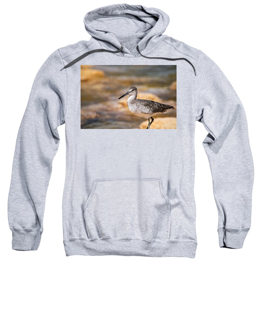 Willet Sweatshirt featuring the photograph Willet by Mary Ann Artz