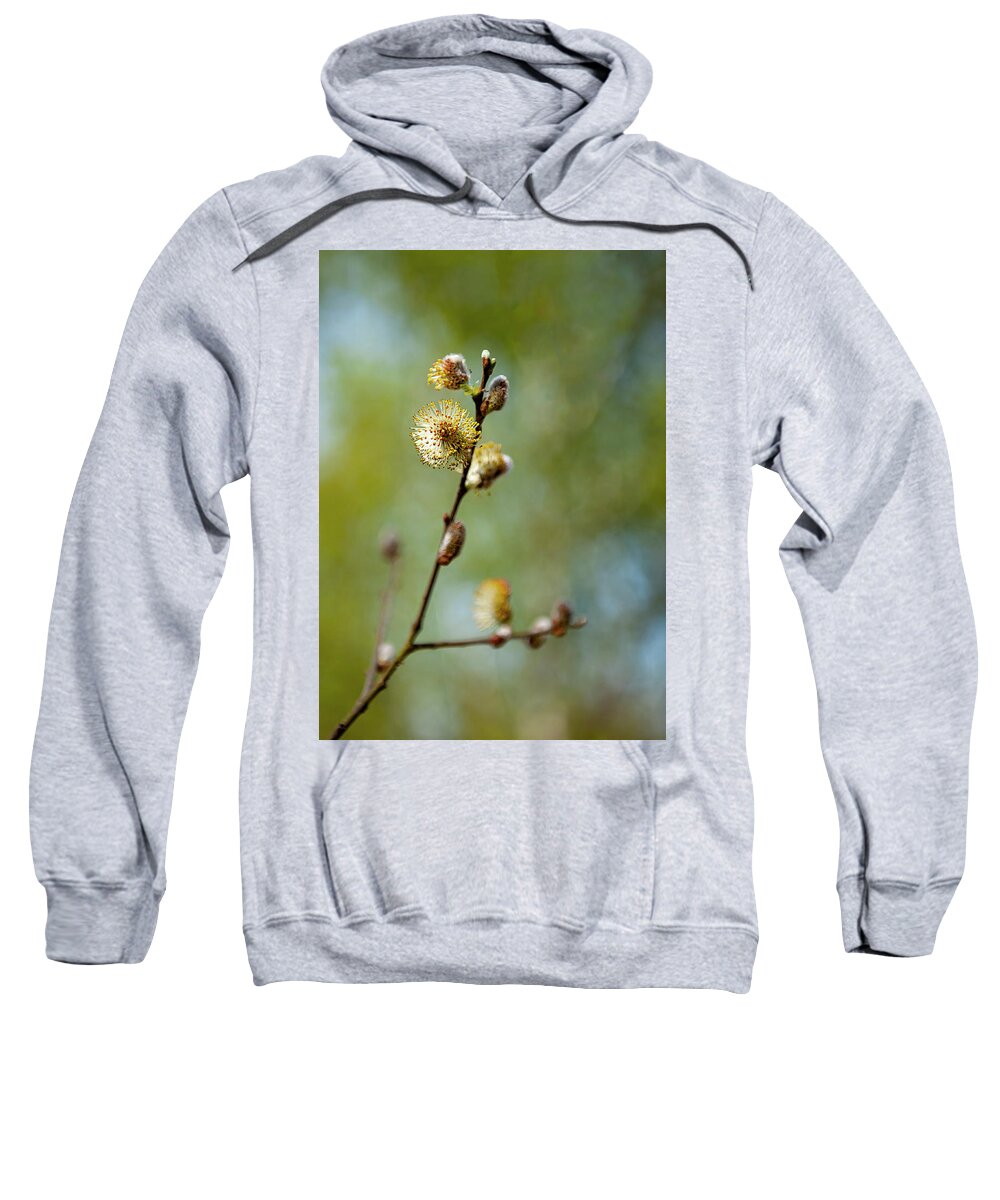 Willow Branch Sweatshirt featuring the photograph Willow Branch by Gouzel -