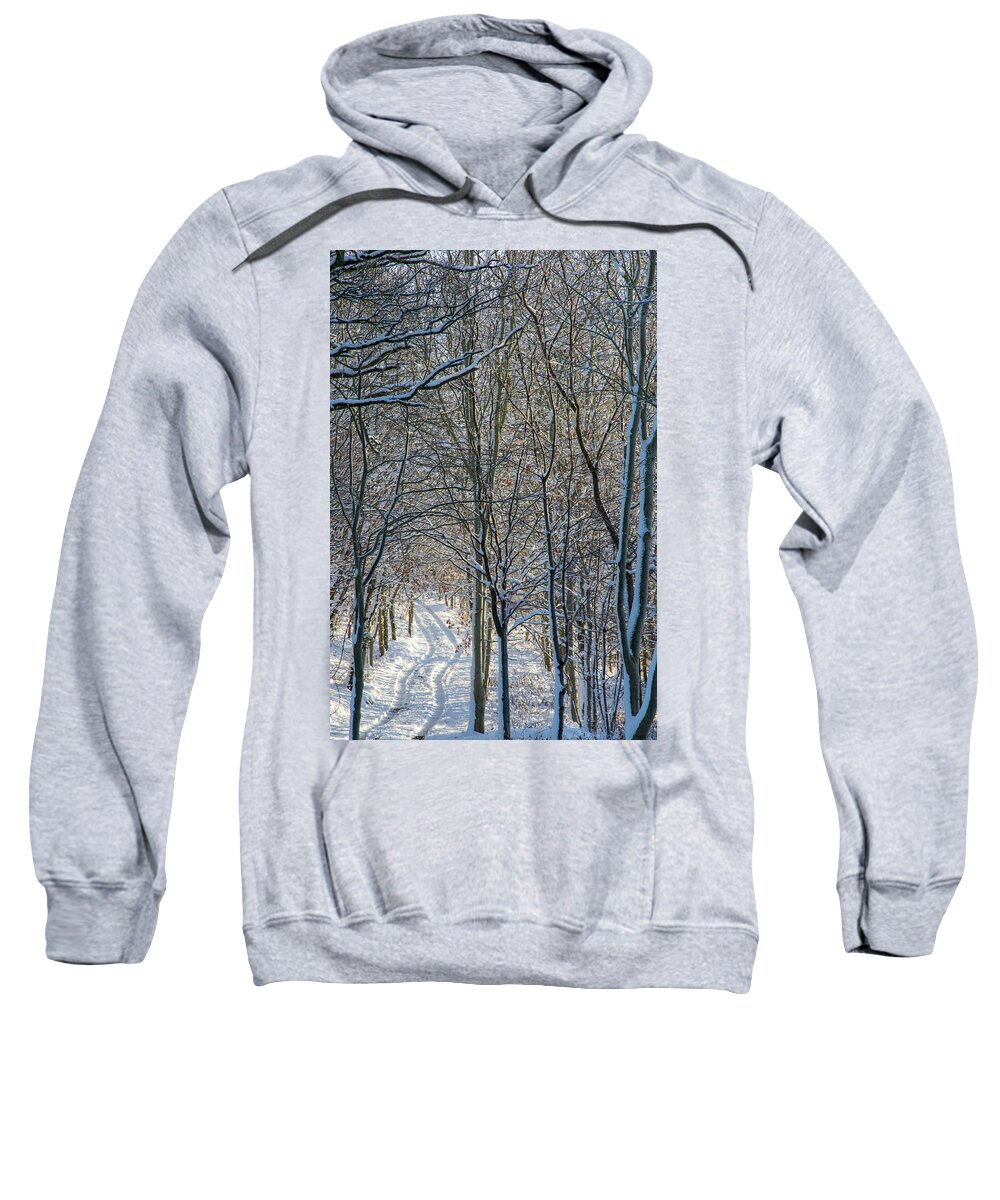 Saplings Sweatshirt featuring the photograph Winter saplings by Mark Hunter