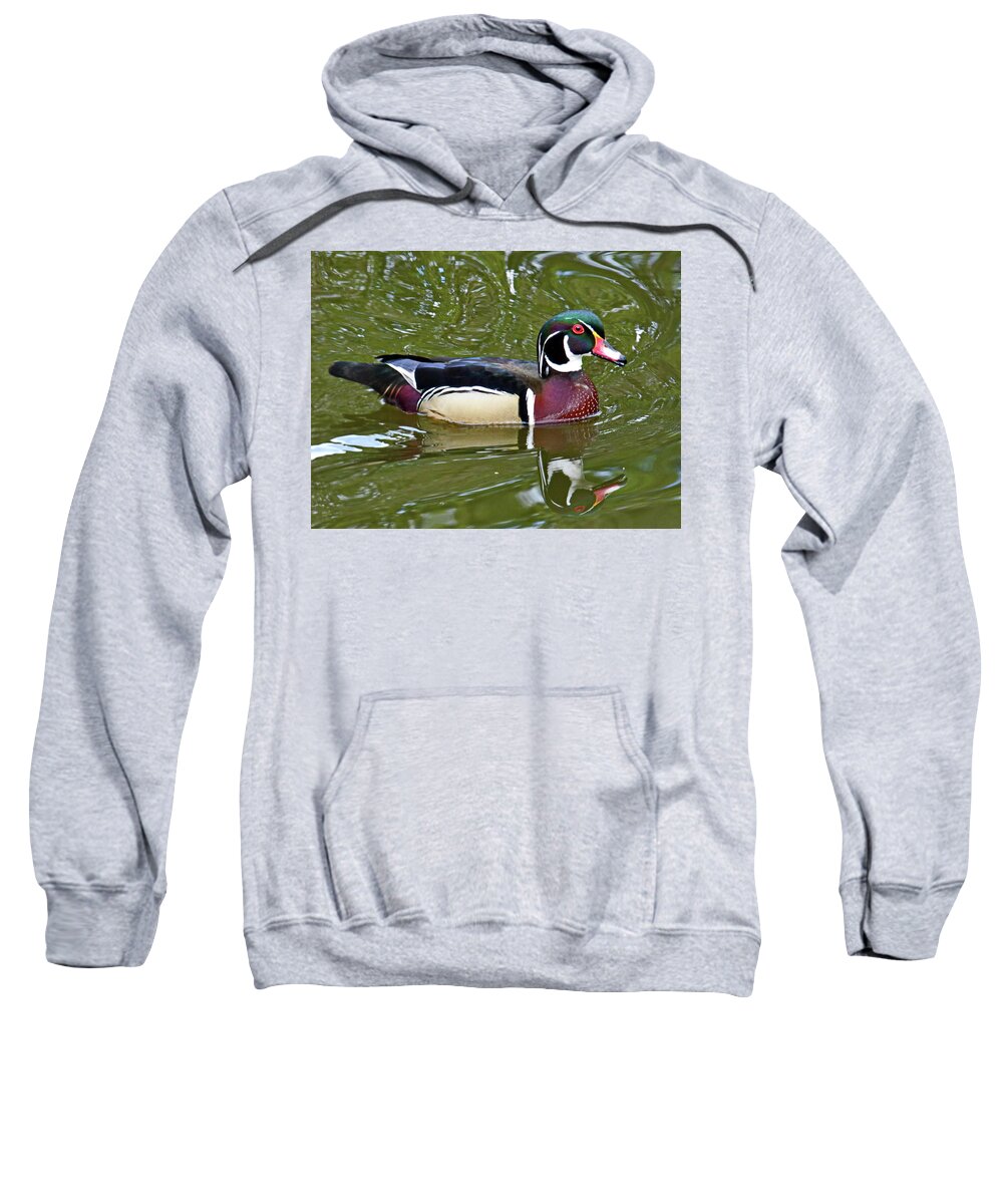 Wood Duck Sweatshirt featuring the photograph Wood Duck Male by Lyuba Filatova