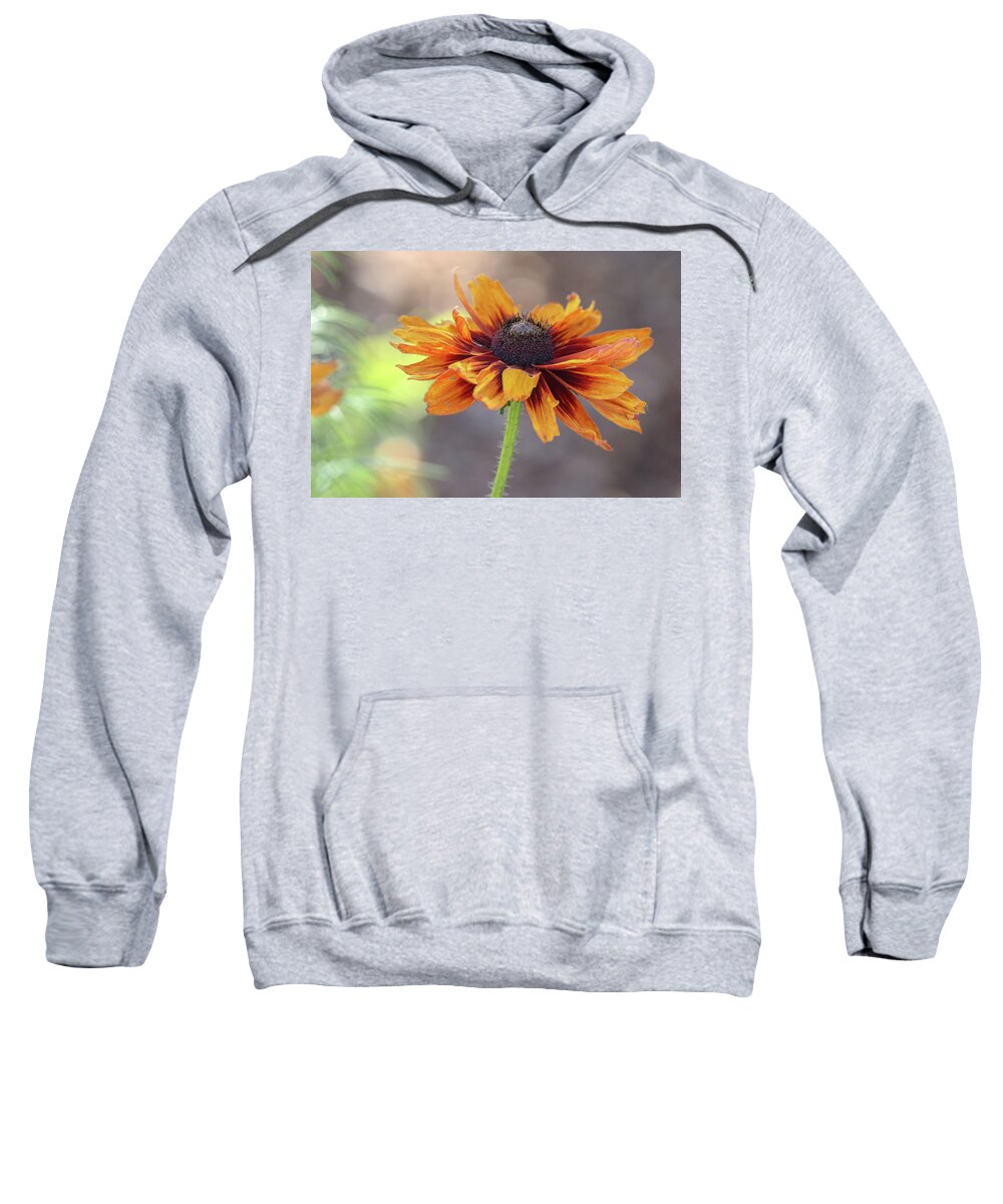 Flower Sweatshirt featuring the photograph Worn and Weary by Mary Anne Delgado