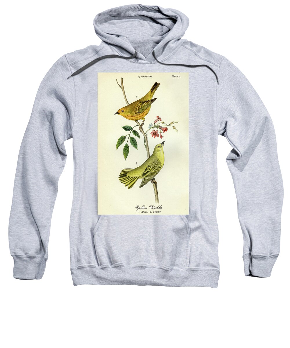 Bird Sweatshirt featuring the mixed media Yellow Warbler by Unknown