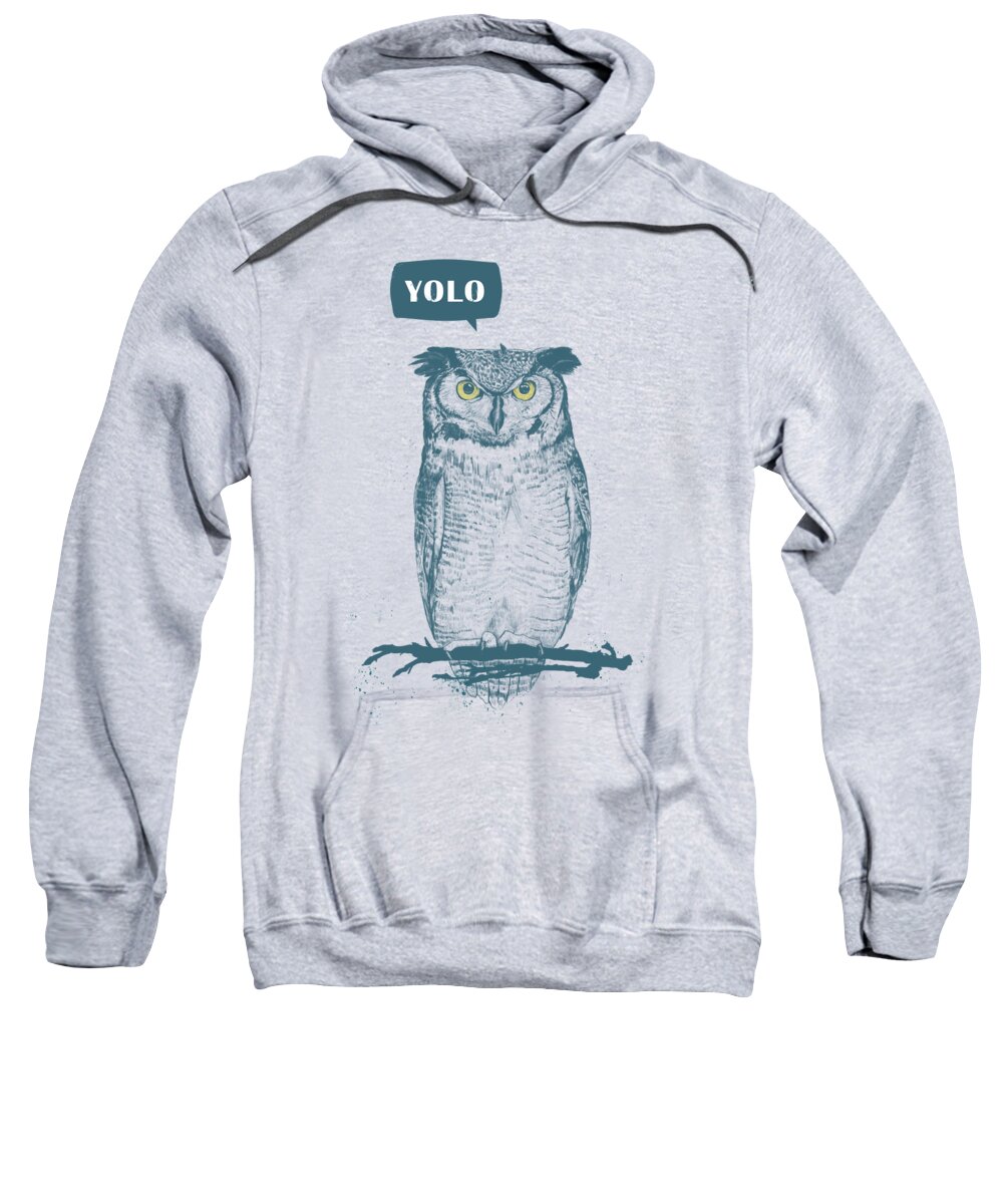 Owl Sweatshirt featuring the mixed media Yolo by Balazs Solti