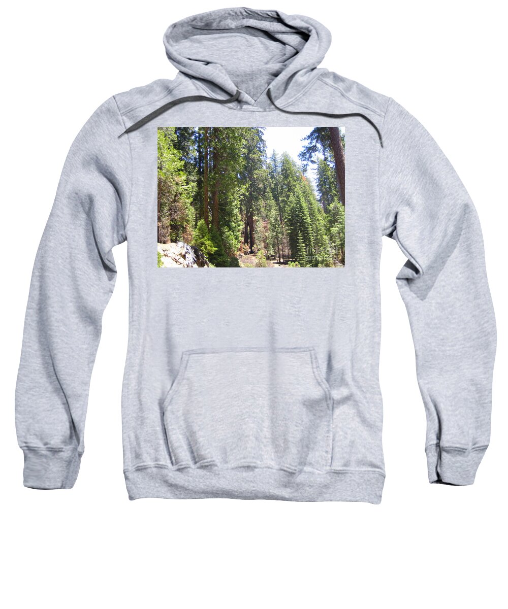 Yosemite Sweatshirt featuring the photograph Yosemite National Park Mariposa Grove Tall Twin Trees by John Shiron