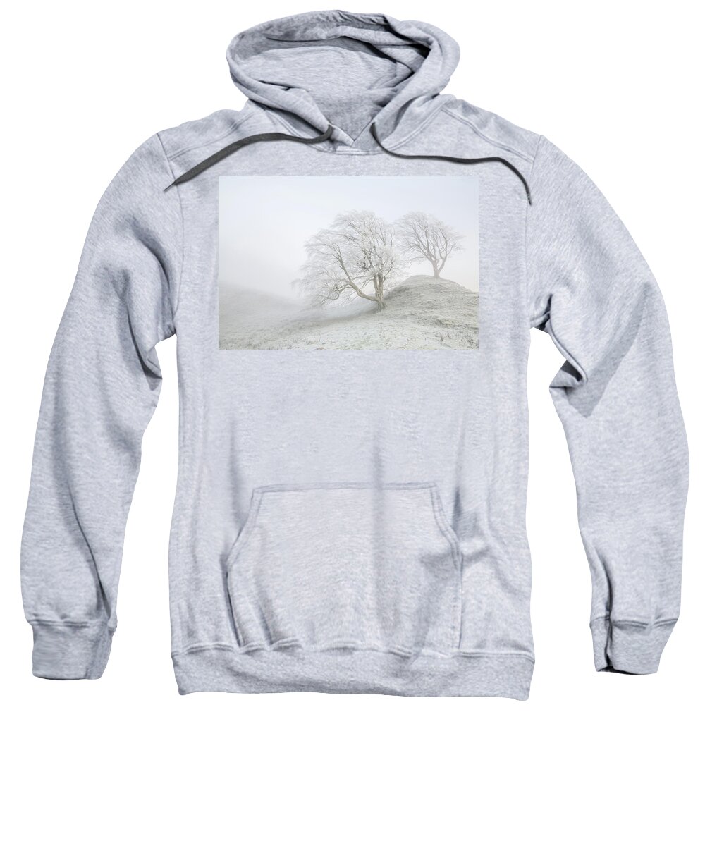 Winter Sweatshirt featuring the photograph Sentinels by Anita Nicholson