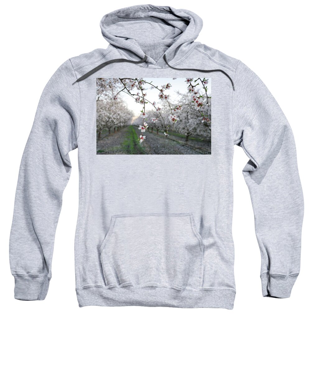 Almond Blossoms Sweatshirt featuring the photograph Almond Orchard #1 by Joan Baker