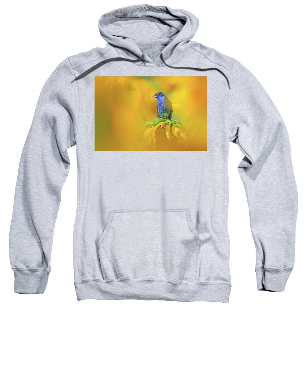 Indigo Bunting Sweatshirt featuring the photograph An Indigo Bunting Perched on a Sunflower #1 by Shixing Wen