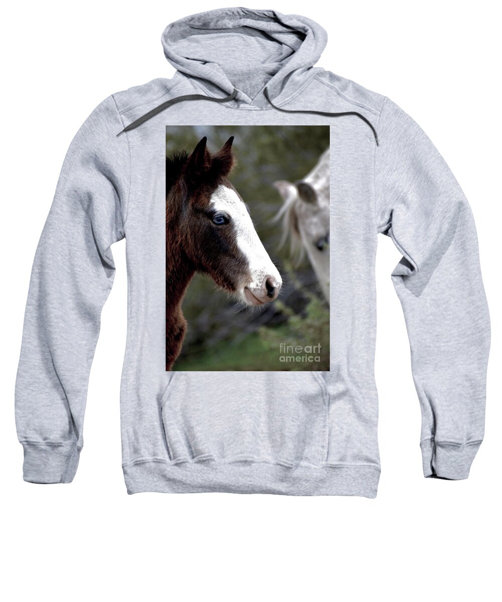 Salt River Wild Horses Sweatshirt featuring the digital art Blue #1 by Tammy Keyes