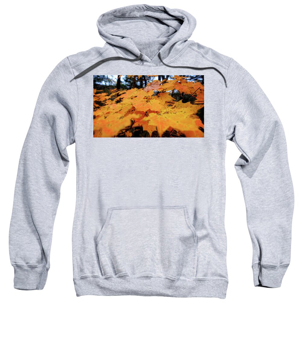 Leaves Sweatshirt featuring the photograph Fall Leaves #1 by George Taylor