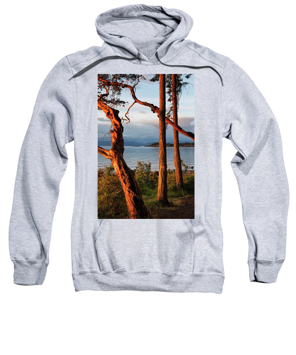 Madrona Point Sweatshirt featuring the photograph Path To Paradise #1 by Randy Hall