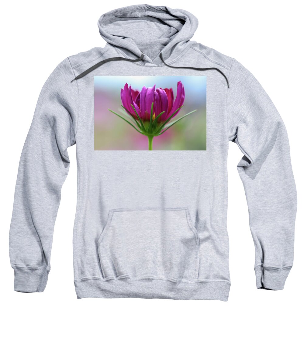 Flower Sweatshirt featuring the photograph Poised Perfection by Mary Anne Delgado