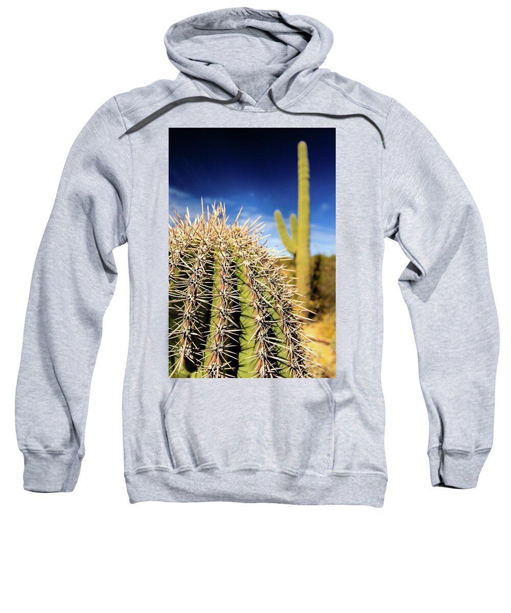 Canyon Sweatshirt featuring the photograph Saguaro Cactus in the Arizona Desert #1 by Craig A Walker