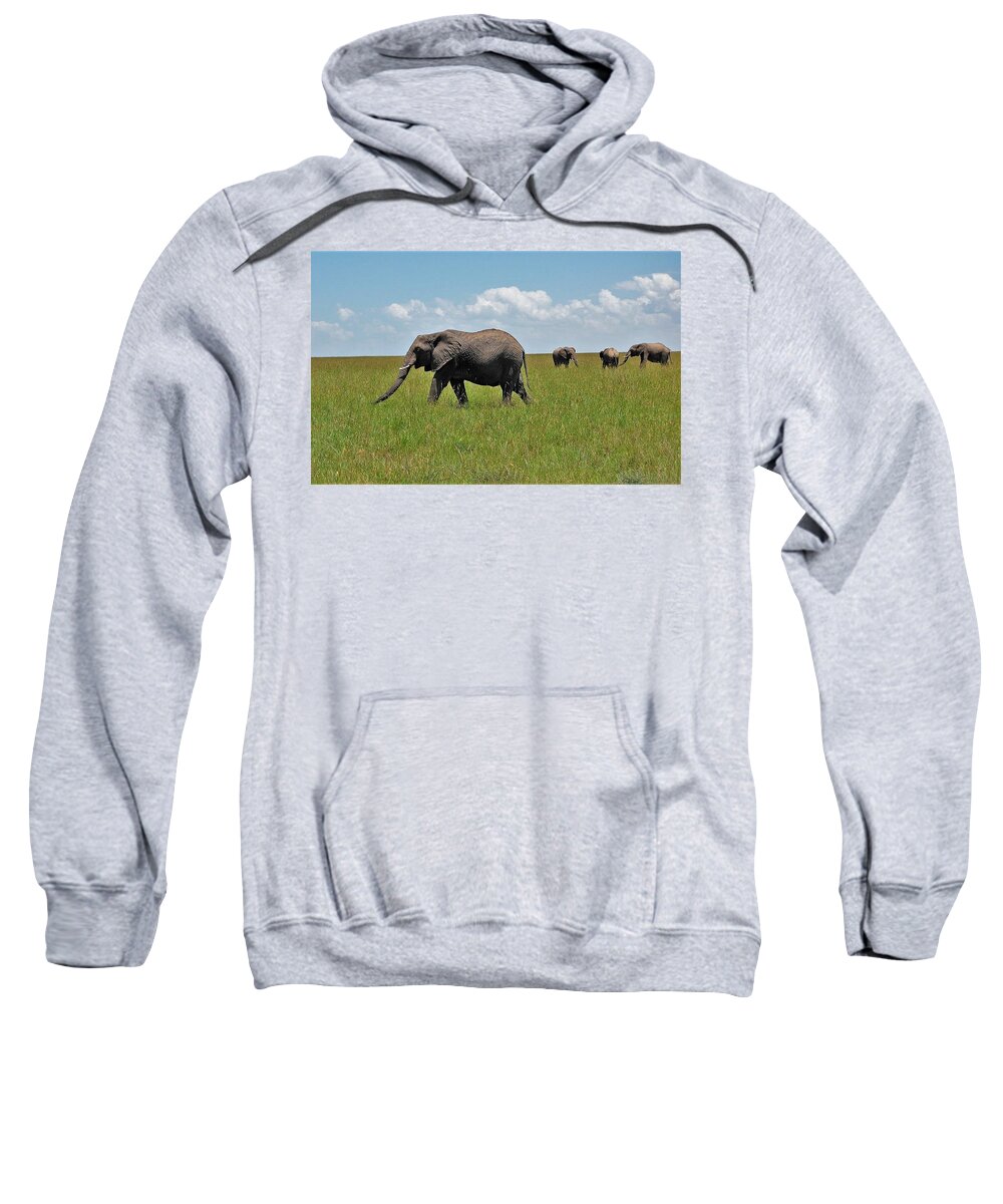  Sweatshirt featuring the photograph 2k by Jay Handler