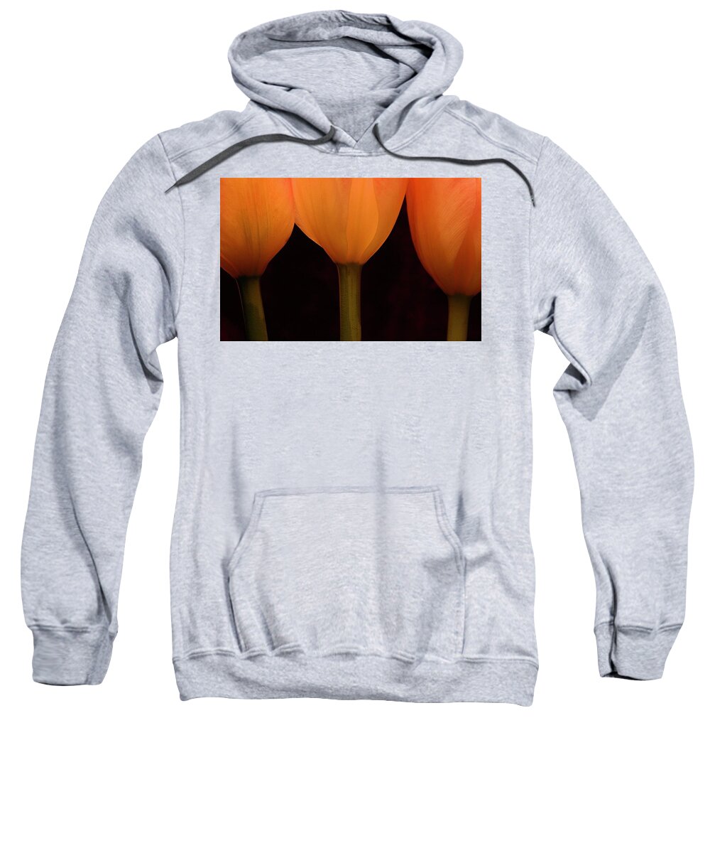 Macro Sweatshirt featuring the photograph 3 Tulips by Julie Powell