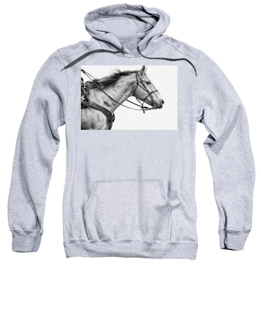 Horse Sweatshirt featuring the photograph Untitled #7 by Ryan Courson