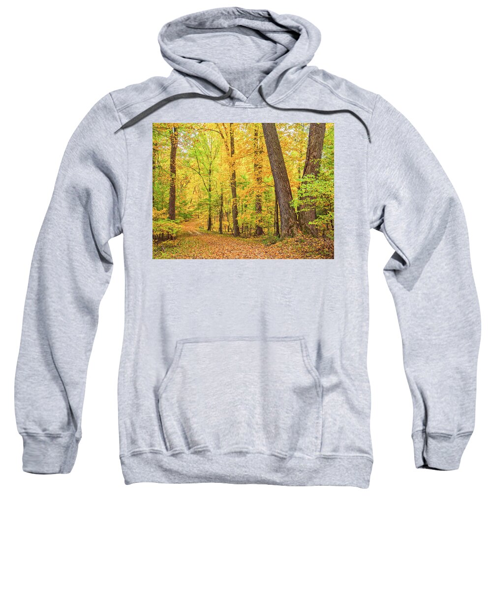 Fall Sweatshirt featuring the photograph A Carpet of Leaves by Marianne Campolongo