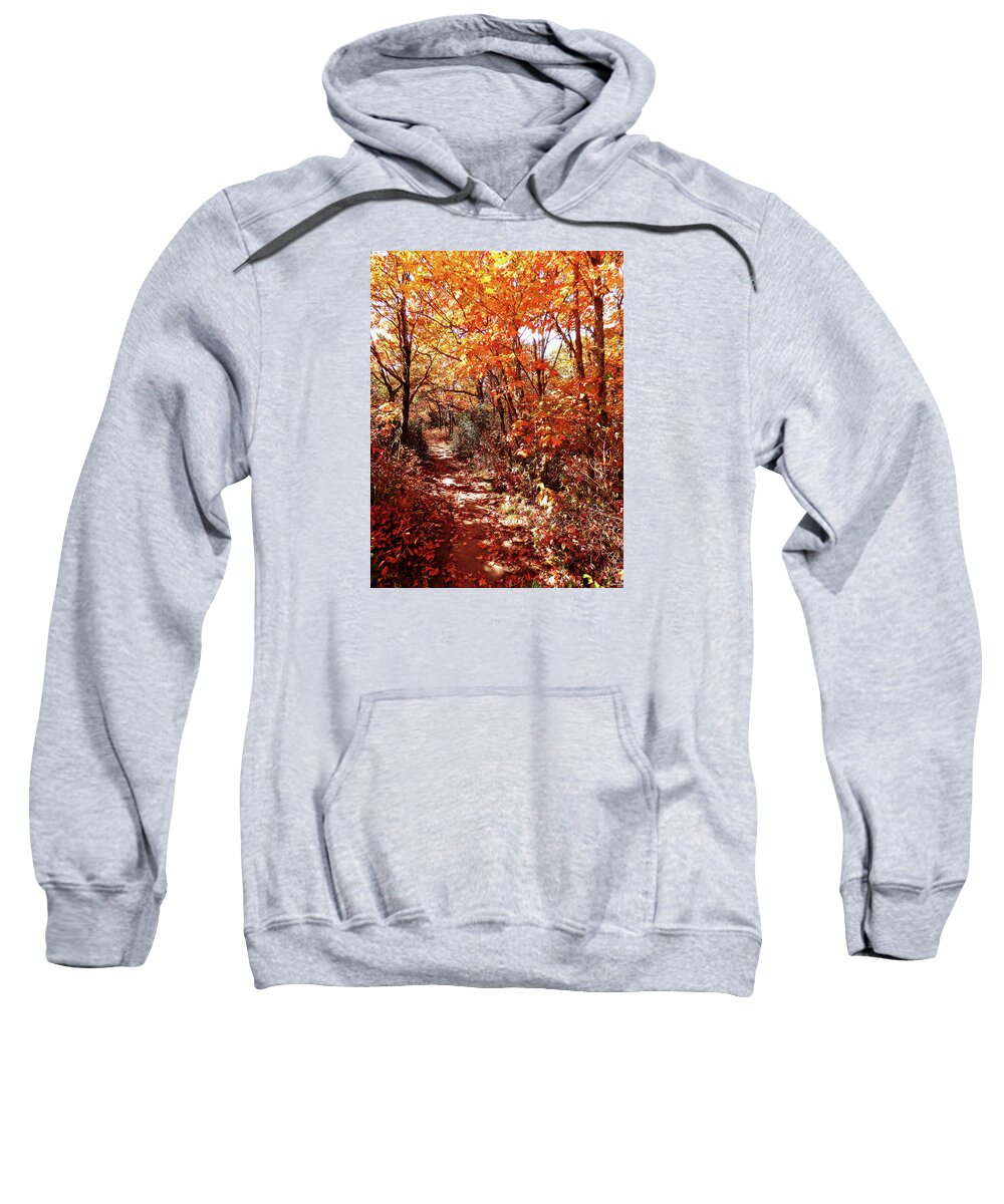 Landscape Sweatshirt featuring the photograph A Hike in The Fall Woods by Sharon Williams Eng