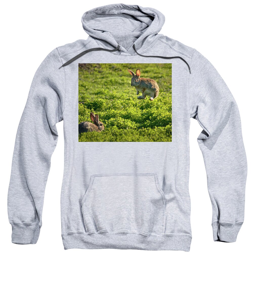 Bunny Sweatshirt featuring the photograph Airborne Bunny by Brian Tada
