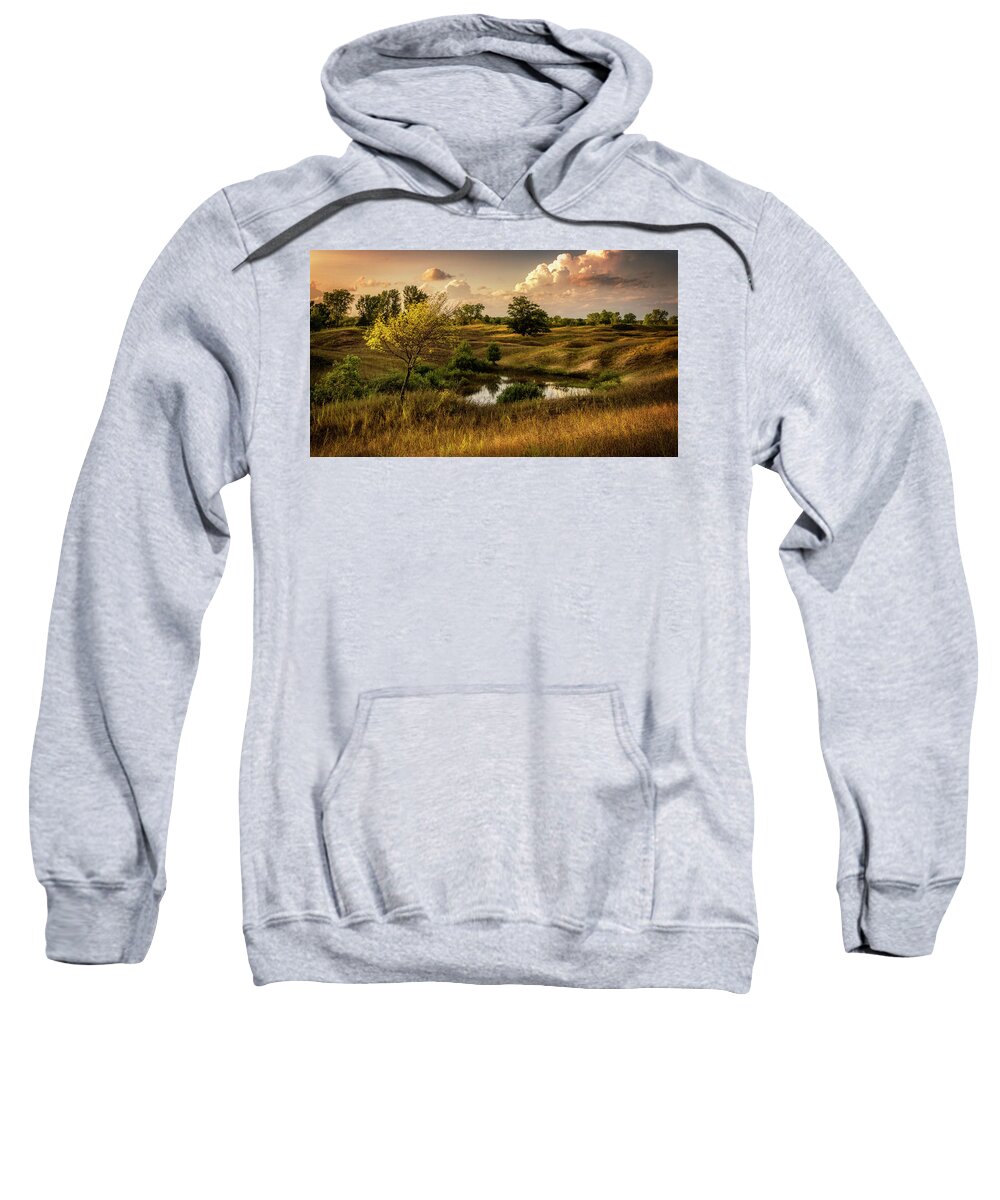 Sand Dunes Sweatshirt featuring the photograph Along the Dunes by Nate Brack