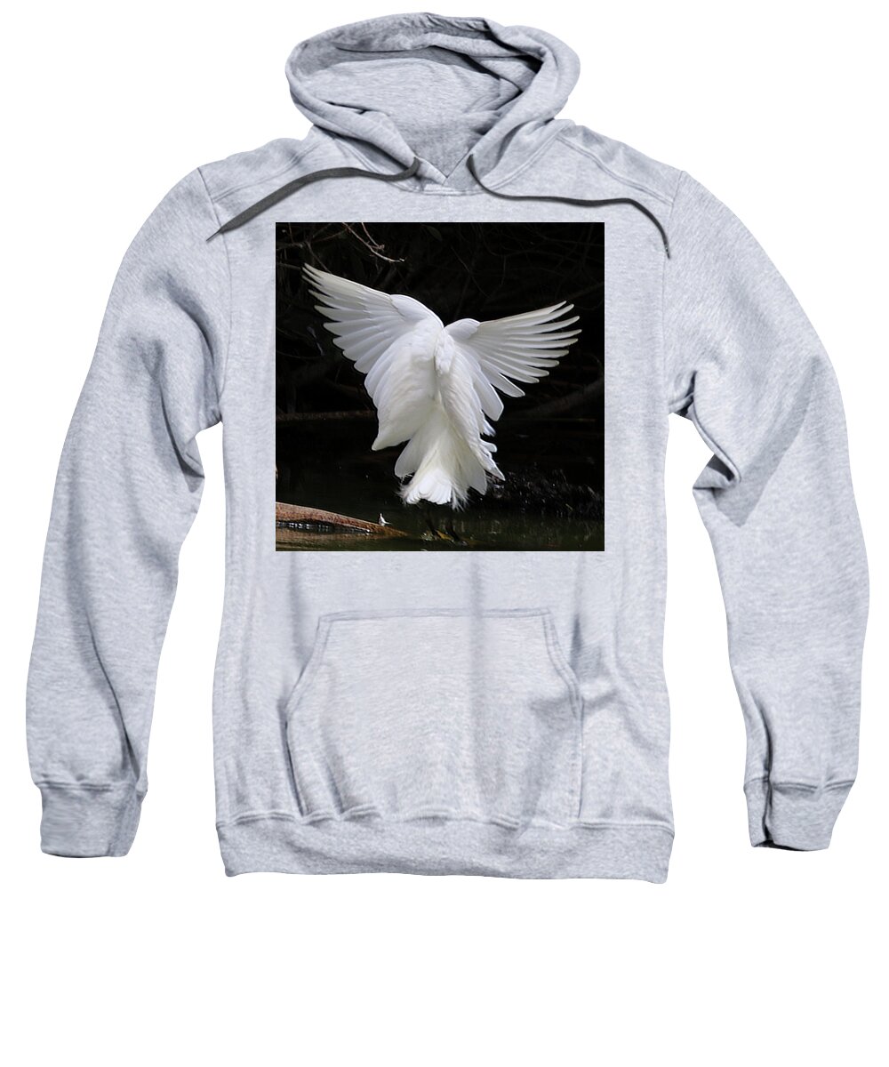 Egret Sweatshirt featuring the photograph Angel Wings Egret by Perry Hoffman
