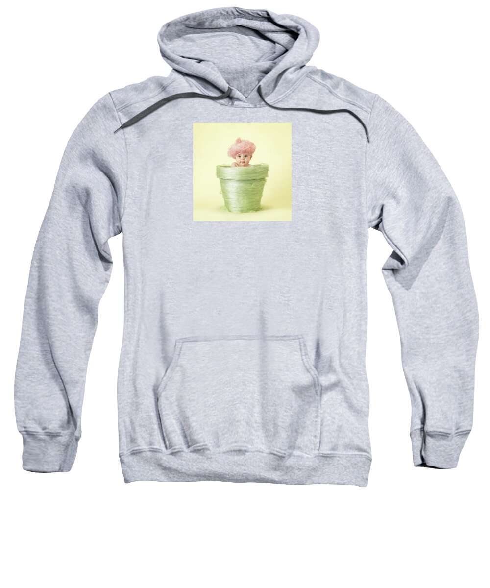 Flowerpot Sweatshirt featuring the photograph Annabelle in Flowerpot by Anne Geddes
