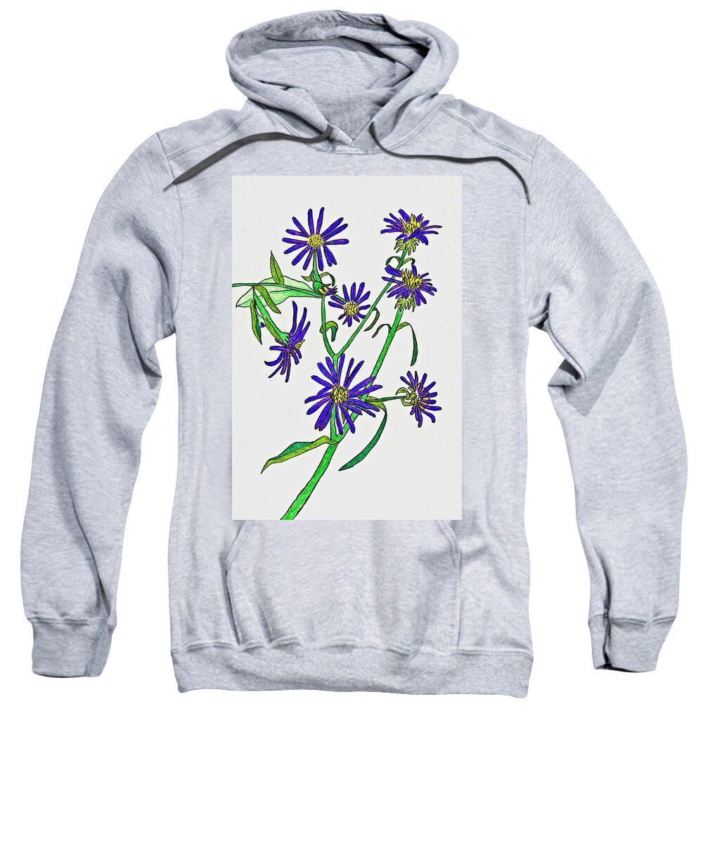 Aster Sweatshirt featuring the drawing Aster Wildflowers by Karen Nice-Webb