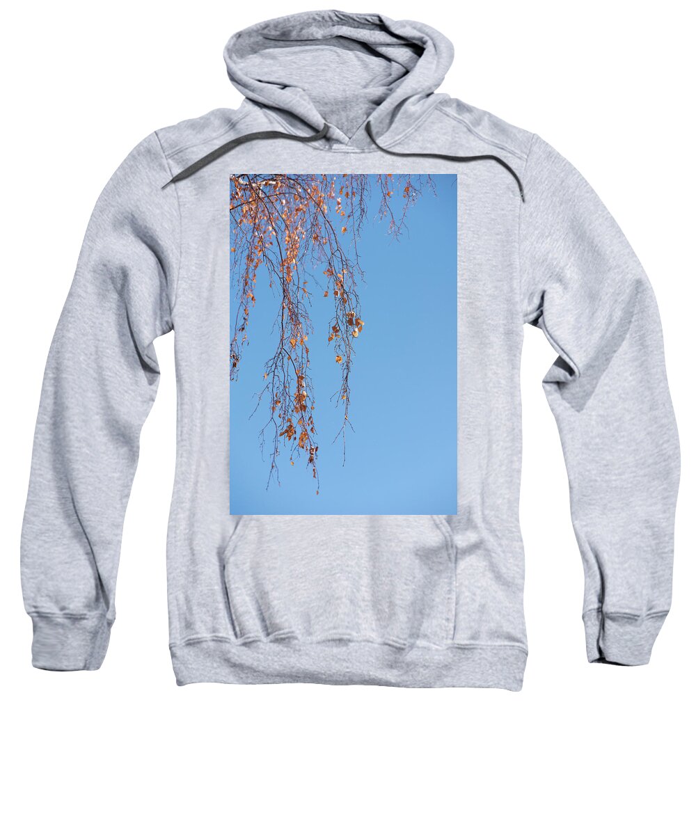 Autumn Sweatshirt featuring the photograph Autumn Weeping Birch by Phil And Karen Rispin