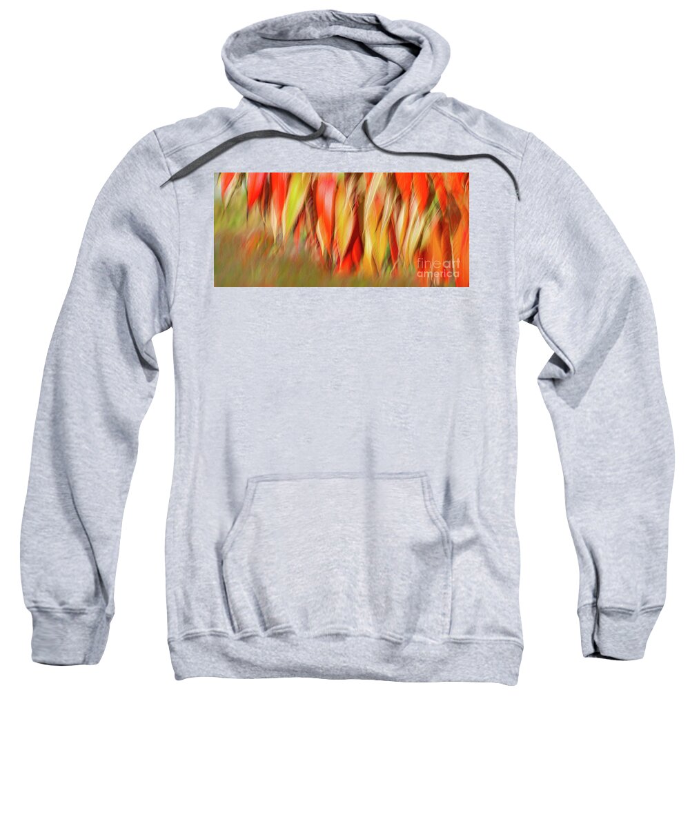  Sweatshirt featuring the photograph Autumns Feathers of Fire by Marilyn Cornwell