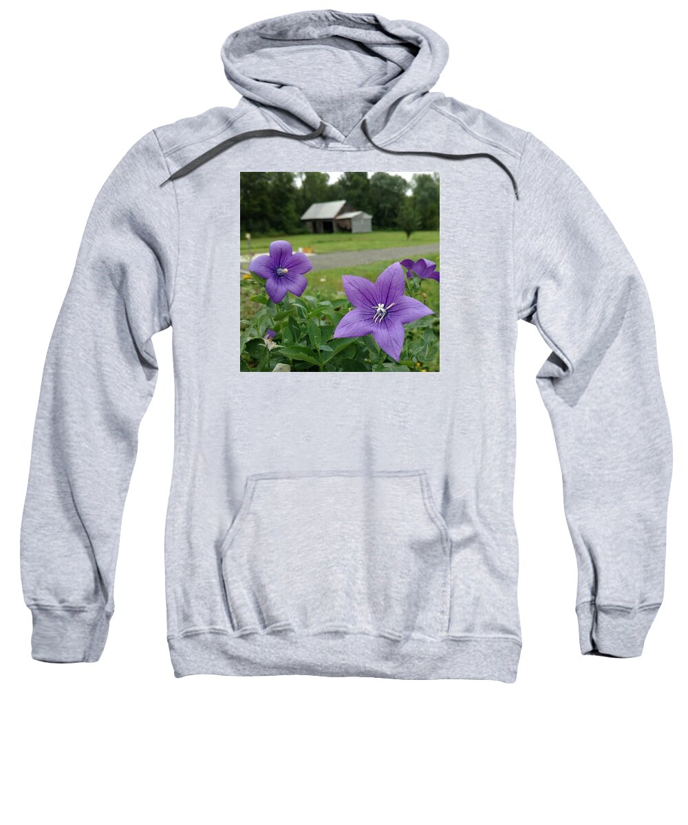 Balloon Flower Sweatshirt featuring the photograph Balloon Flowers and Barn by Vicki Noble