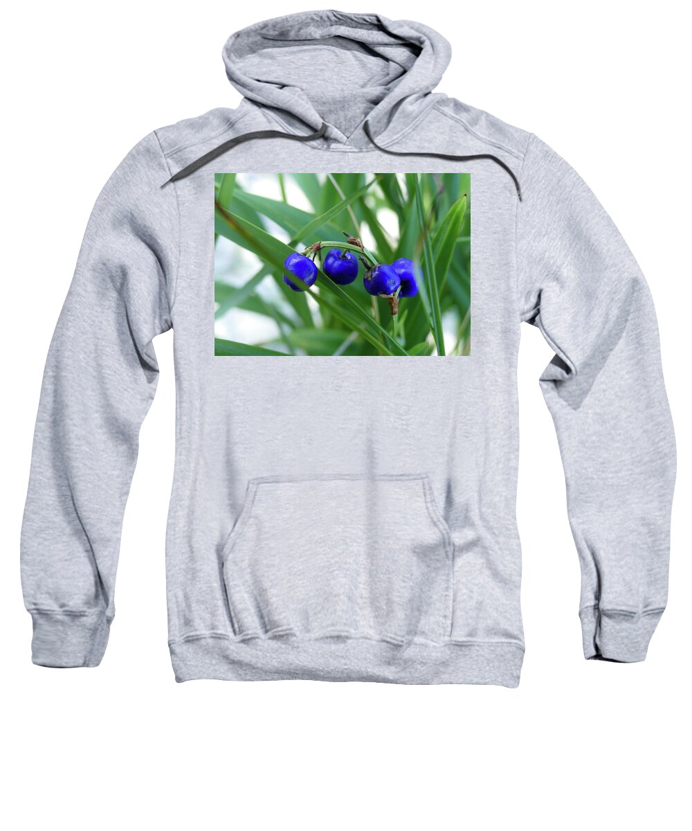 Plants Sweatshirt featuring the photograph Beautiful Blue Berries by Maryse Jansen