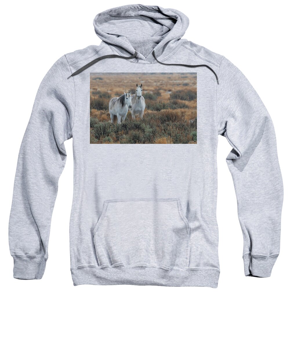 Wild Horses Sweatshirt featuring the photograph Beauty in the Sage by Mary Hone