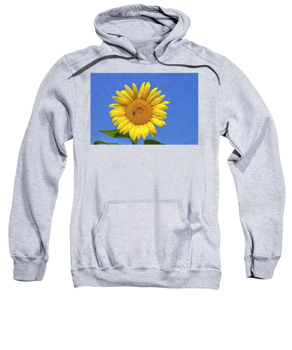 Sunflower Sweatshirt featuring the photograph Big and Beautiful by Bill Barber