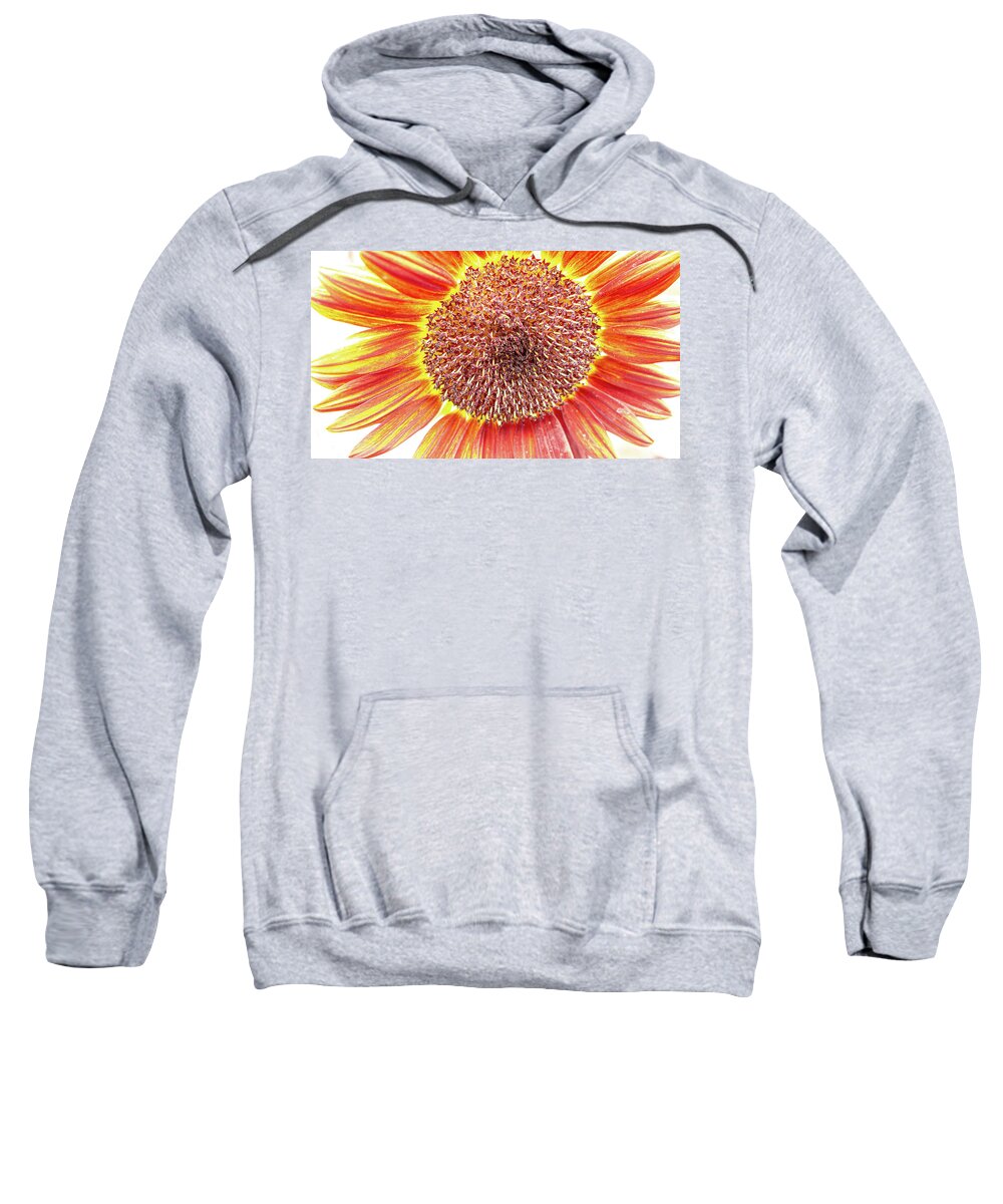 Red Sweatshirt featuring the photograph Big Red and Yellow Flower by David Morehead