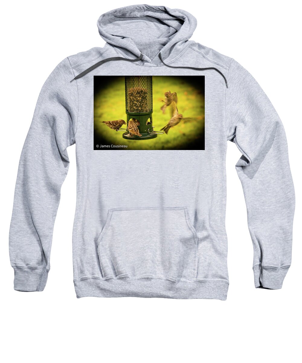Birds Sweatshirt featuring the photograph Bird Lunch Time by James Cousineau