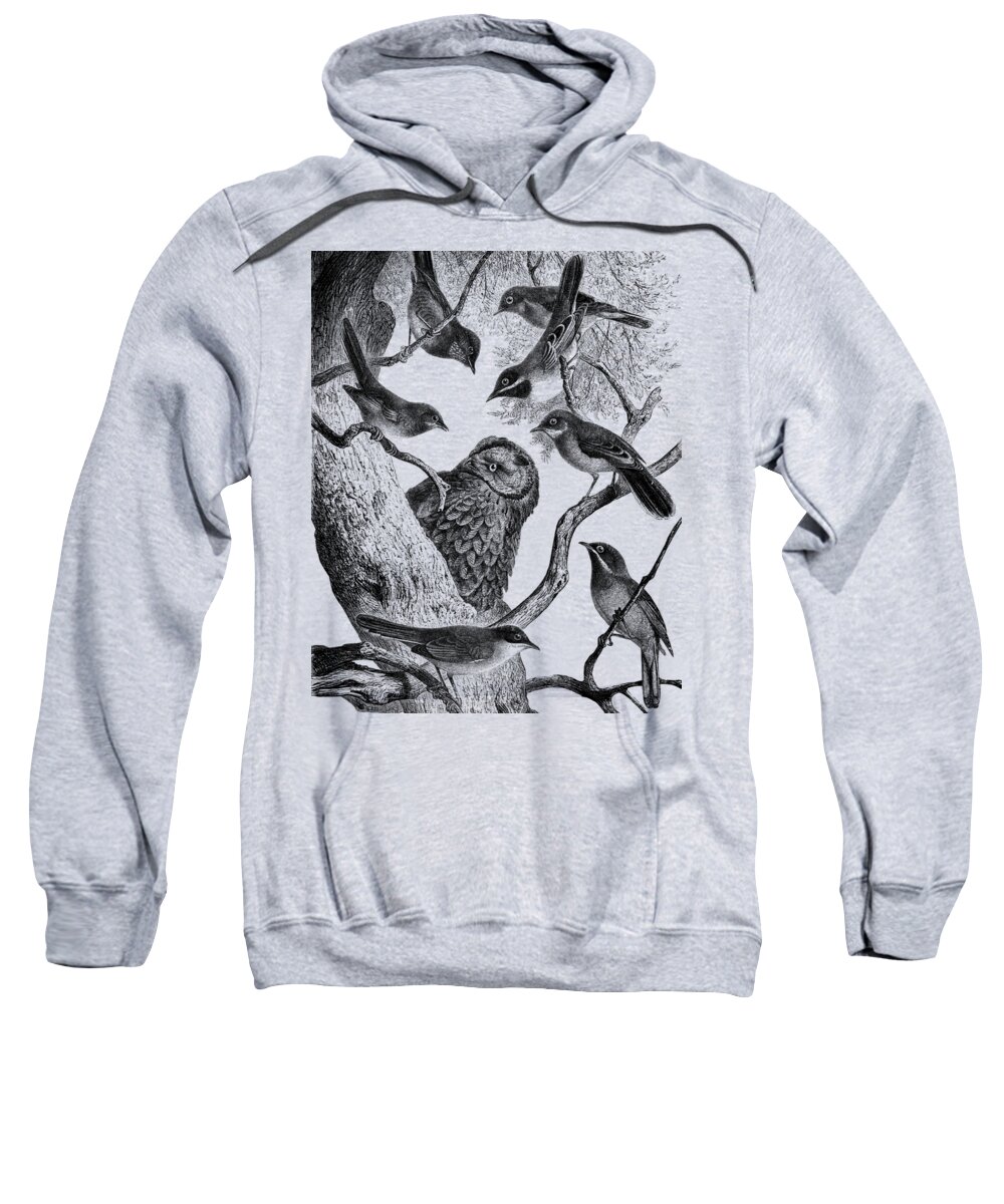 Birds Sweatshirt featuring the digital art Birds in a tree by Madame Memento
