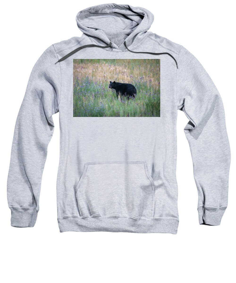 Black Bear Sweatshirt featuring the photograph Black Bear in Field of Flowers by Mary Lee Dereske