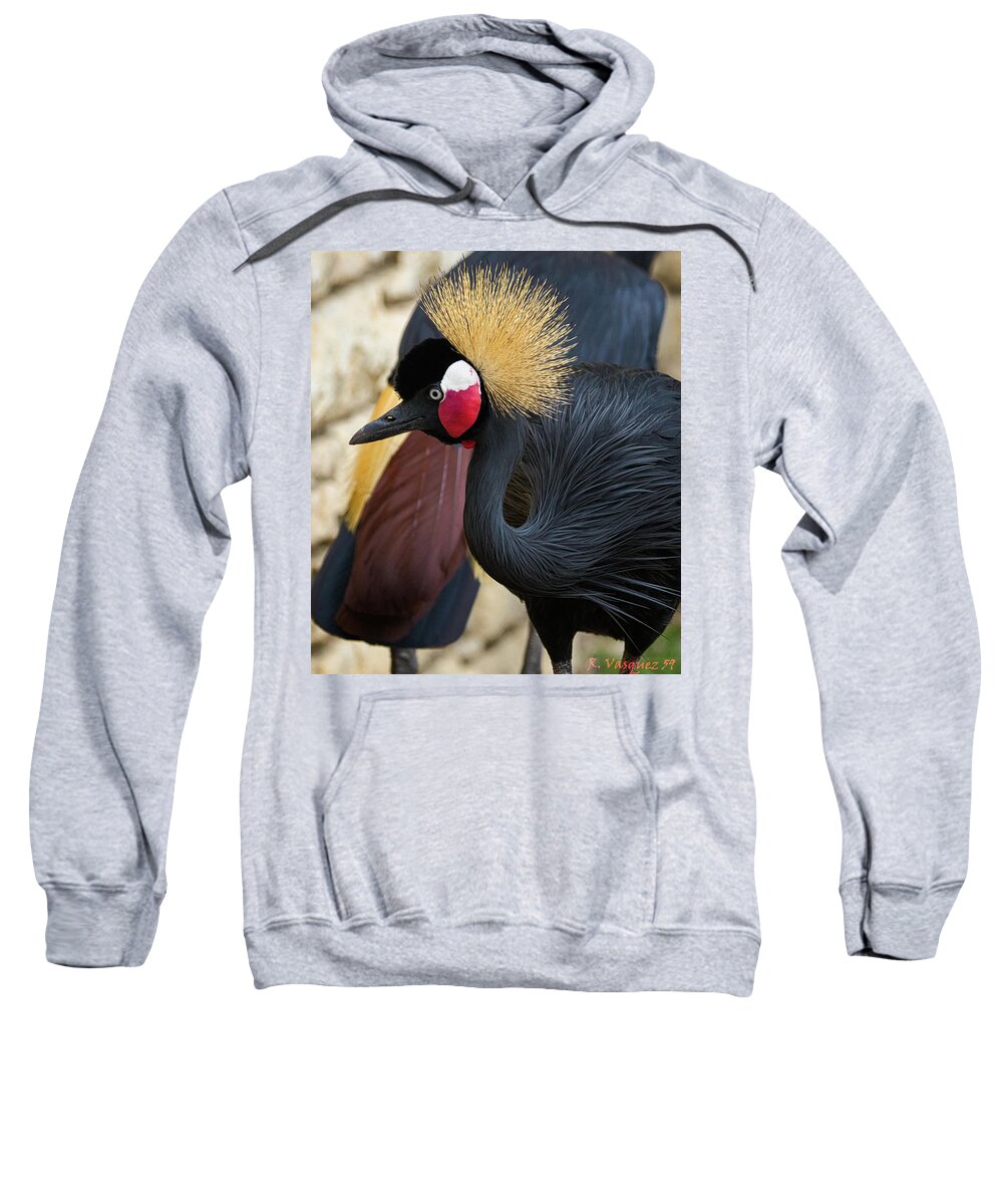 Black Sweatshirt featuring the photograph African Black Crown Crane by Rene Vasquez
