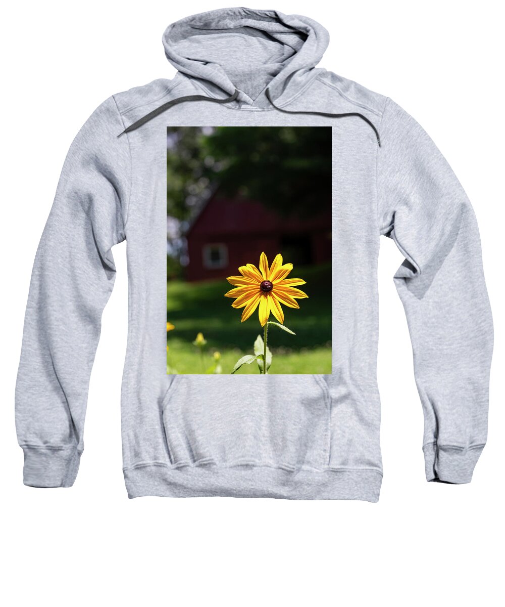 North Carolina (nc) Sweatshirt featuring the photograph Black-Eyed Susan Shines Brightly by Charles Floyd