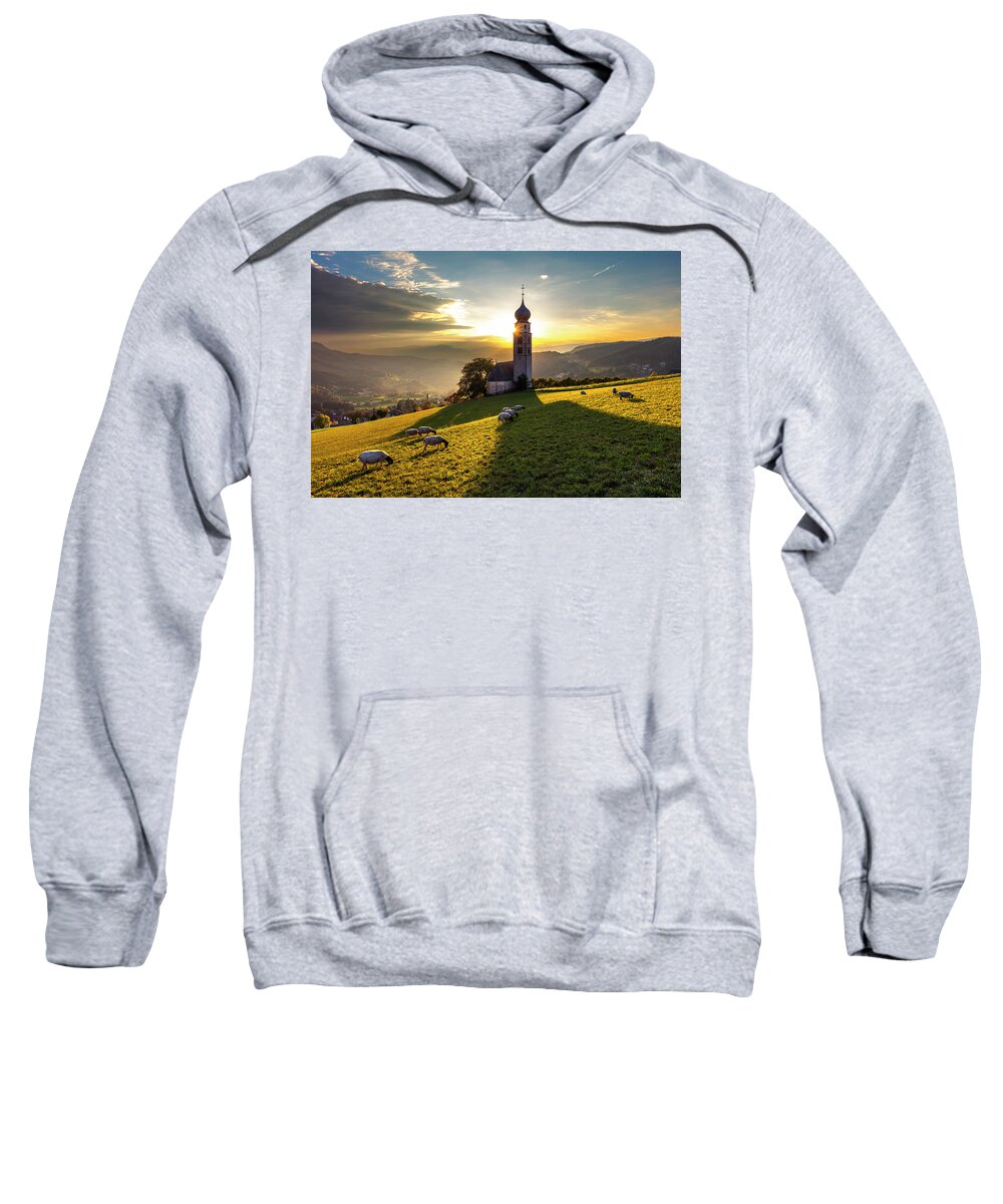 Nature Sweatshirt featuring the photograph Black Heads by Evgeni Dinev